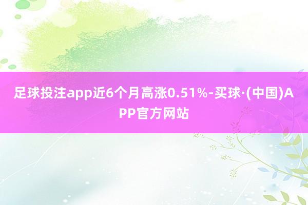 足球投注app近6个月高涨0.51%-买球·(中国)APP官方网站