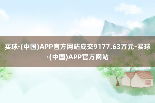 买球·(中国)APP官方网站成交9177.63万元-买球·(中国)APP官方网站