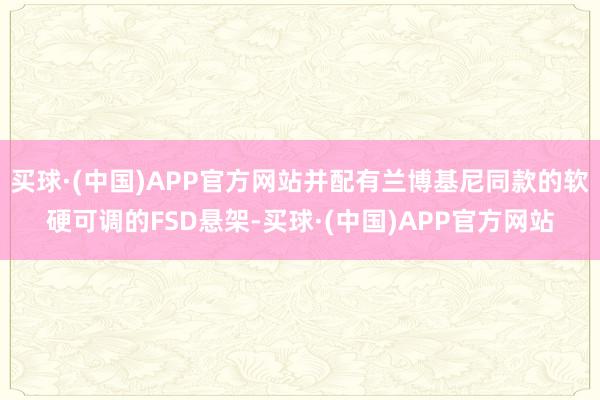 买球·(中国)APP官方网站并配有兰博基尼同款的软硬可调的FSD悬架-买球·(中国)APP官方网站