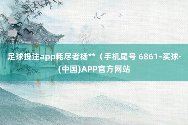 足球投注app耗尽者杨**（手机尾号 6861-买球·(中国)APP官方网站