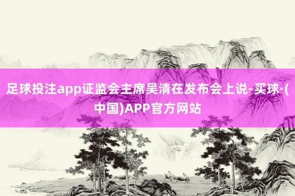 足球投注app证监会主席吴清在发布会上说-买球·(中国)APP官方网站