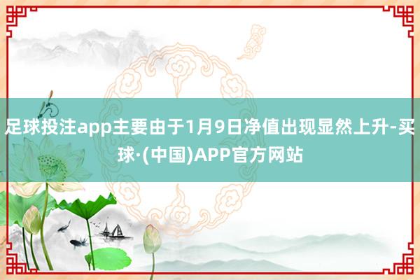 足球投注app主要由于1月9日净值出现显然上升-买球·(中国)APP官方网站