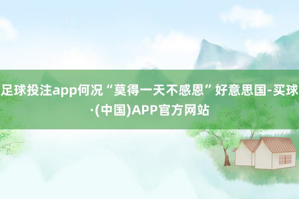 足球投注app何况“莫得一天不感恩”好意思国-买球·(中国)APP官方网站