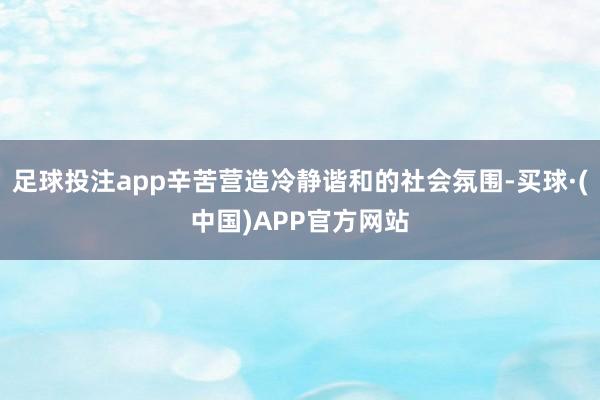 足球投注app辛苦营造冷静谐和的社会氛围-买球·(中国)APP官方网站