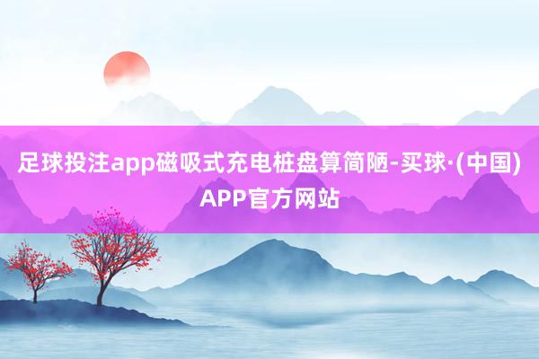 足球投注app磁吸式充电桩盘算简陋-买球·(中国)APP官方网站