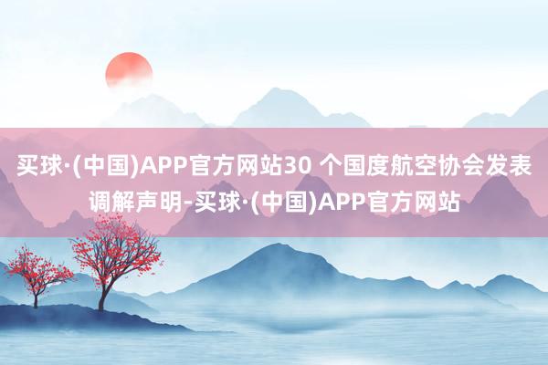买球·(中国)APP官方网站30 个国度航空协会发表调解声明-买球·(中国)APP官方网站