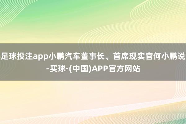 足球投注app小鹏汽车董事长、首席现实官何小鹏说-买球·(中国)APP官方网站