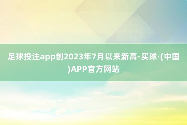 足球投注app创2023年7月以来新高-买球·(中国)APP官方网站