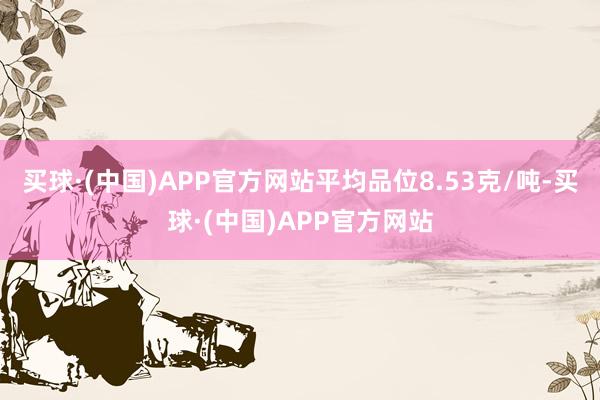 买球·(中国)APP官方网站平均品位8.53克/吨-买球·(中国)APP官方网站