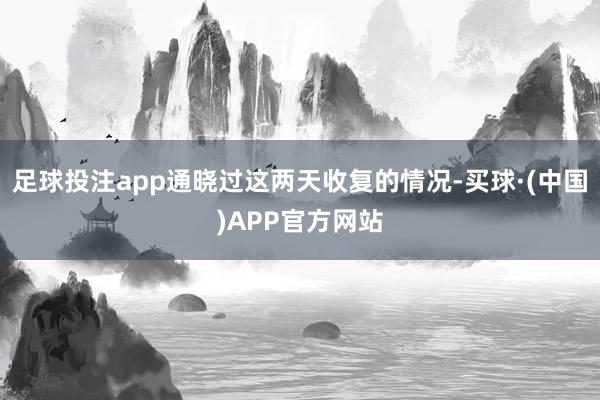 足球投注app通晓过这两天收复的情况-买球·(中国)APP官方网站