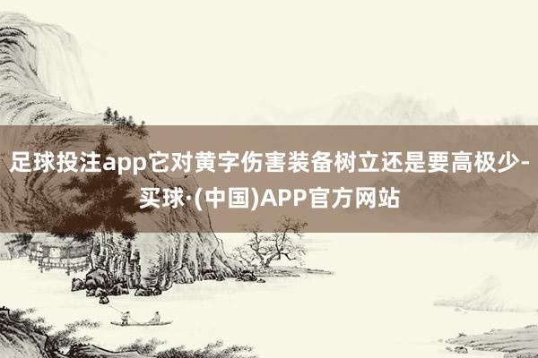 足球投注app它对黄字伤害装备树立还是要高极少-买球·(中国)APP官方网站