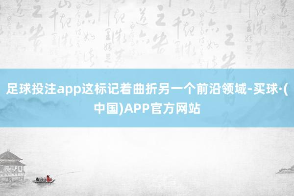 足球投注app这标记着曲折另一个前沿领域-买球·(中国)APP官方网站