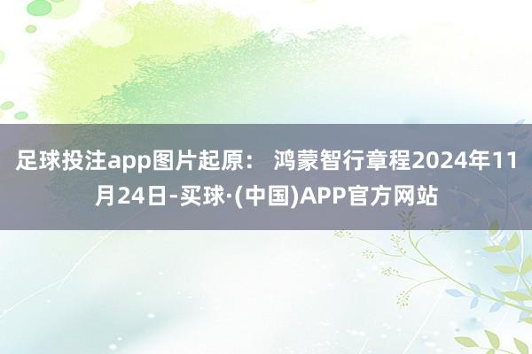 足球投注app图片起原： 鸿蒙智行章程2024年11月24日-买球·(中国)APP官方网站