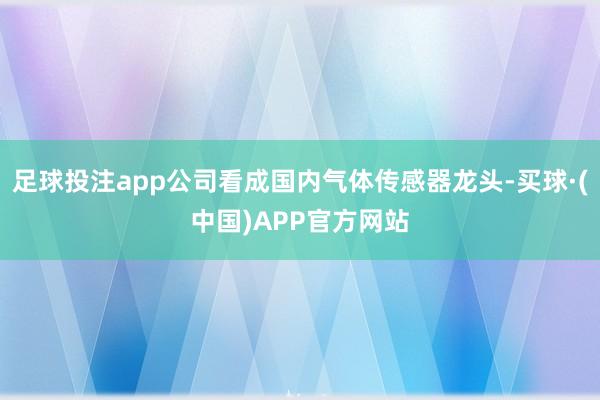 足球投注app公司看成国内气体传感器龙头-买球·(中国)APP官方网站