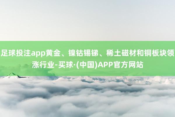 足球投注app黄金、镍钴锡锑、稀土磁材和铜板块领涨行业-买球·(中国)APP官方网站