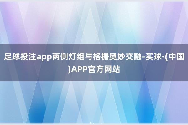 足球投注app两侧灯组与格栅奥妙交融-买球·(中国)APP官方网站