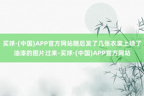 买球·(中国)APP官方网站随后发了几张衣裳上喷了油漆的图片过来-买球·(中国)APP官方网站