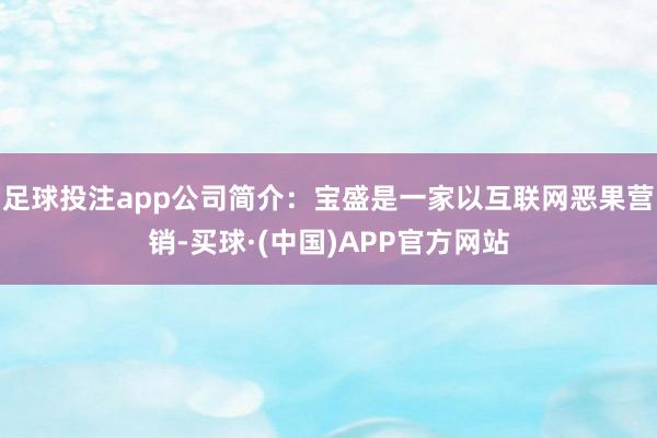足球投注app公司简介：宝盛是一家以互联网恶果营销-买球·(中国)APP官方网站