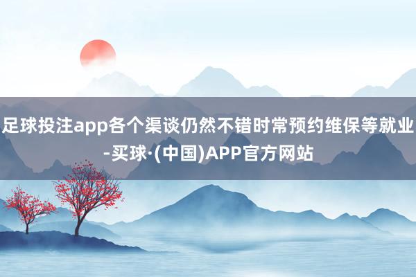 足球投注app各个渠谈仍然不错时常预约维保等就业-买球·(中国)APP官方网站
