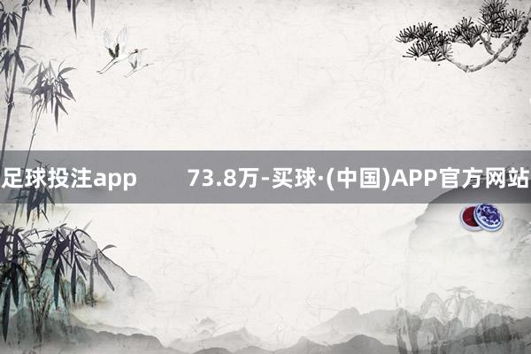 足球投注app        73.8万-买球·(中国)APP官方网站