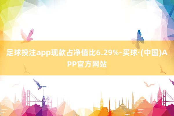 足球投注app现款占净值比6.29%-买球·(中国)APP官方网站