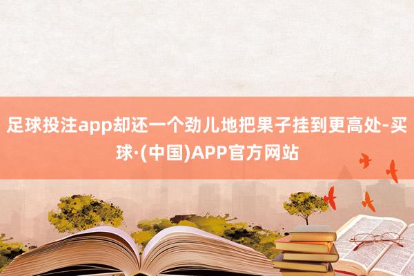 足球投注app却还一个劲儿地把果子挂到更高处-买球·(中国)APP官方网站