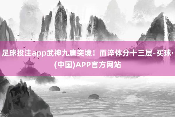 足球投注app武神九唐突境！而淬体分十三层-买球·(中国)APP官方网站