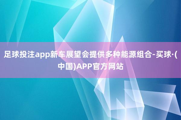 足球投注app新车展望会提供多种能源组合-买球·(中国)APP官方网站