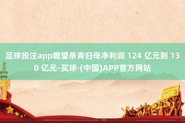 足球投注app瞻望杀青归母净利润 124 亿元到 130 亿元-买球·(中国)APP官方网站