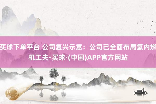 买球下单平台 公司复兴示意：公司已全面布局氢内燃机工夫-买球·(中国)APP官方网站
