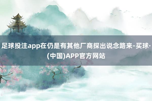 足球投注app在仍是有其他厂商探出说念路来-买球·(中国)APP官方网站