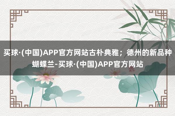 买球·(中国)APP官方网站古朴典雅；德州的新品种蝴蝶兰-买球·(中国)APP官方网站