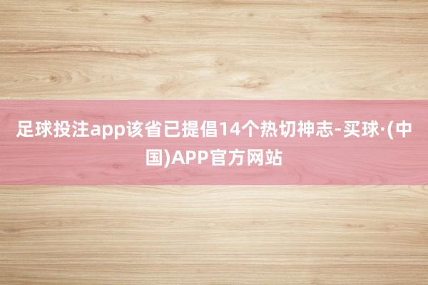 足球投注app该省已提倡14个热切神志-买球·(中国)APP官方网站