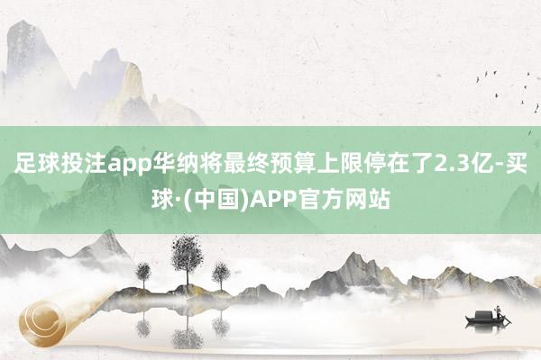 足球投注app华纳将最终预算上限停在了2.3亿-买球·(中国)APP官方网站