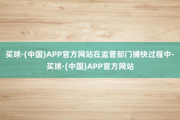 买球·(中国)APP官方网站在监管部门捕快过程中-买球·(中国)APP官方网站