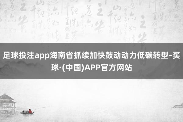 足球投注app海南省抓续加快鼓动动力低碳转型-买球·(中国)APP官方网站