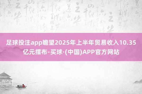 足球投注app瞻望2025年上半年贸易收入10.35亿元摆布-买球·(中国)APP官方网站