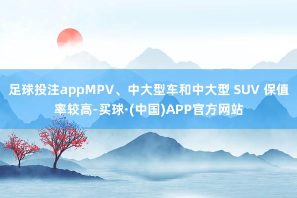 足球投注appMPV、中大型车和中大型 SUV 保值率较高-买球·(中国)APP官方网站
