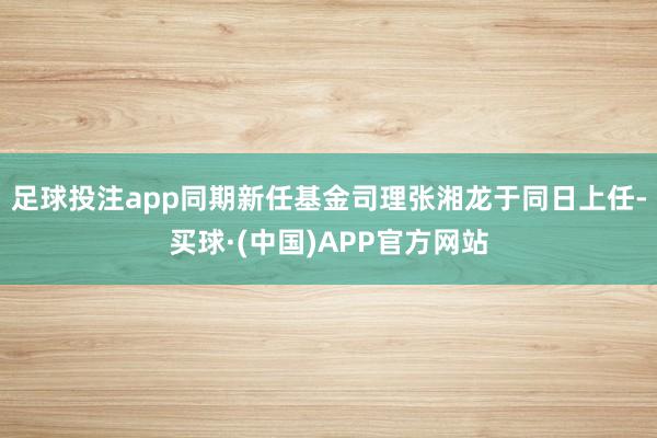 足球投注app同期新任基金司理张湘龙于同日上任-买球·(中国)APP官方网站