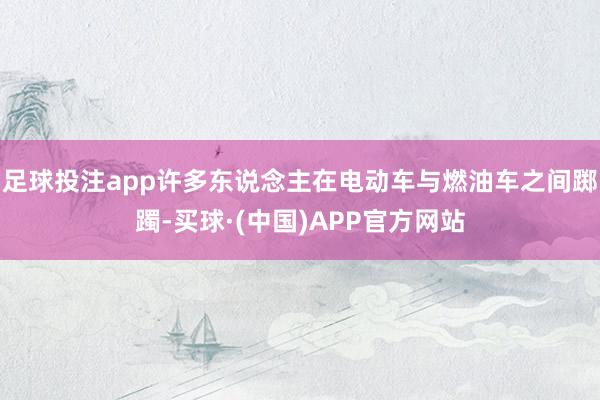 足球投注app许多东说念主在电动车与燃油车之间踯躅-买球·(中国)APP官方网站