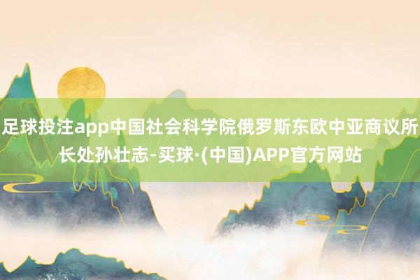 足球投注app中国社会科学院俄罗斯东欧中亚商议所长处孙壮志-买球·(中国)APP官方网站