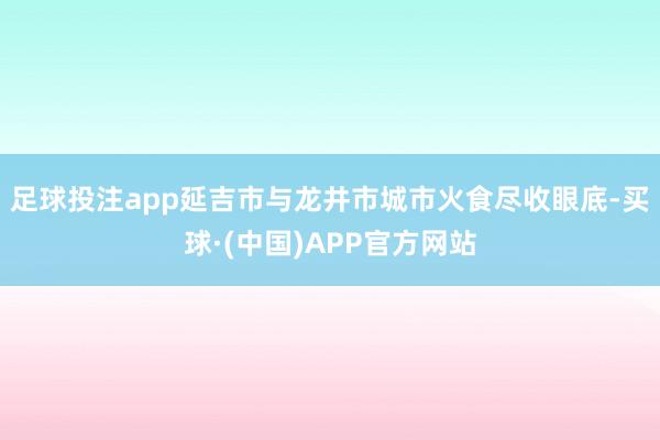 足球投注app延吉市与龙井市城市火食尽收眼底-买球·(中国)APP官方网站
