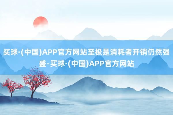 买球·(中国)APP官方网站至极是消耗者开销仍然强盛-买球·(中国)APP官方网站