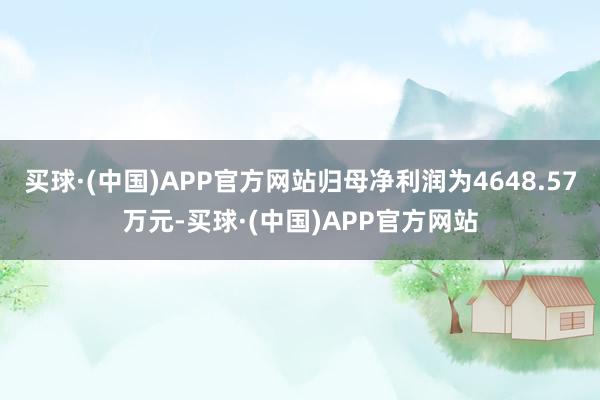 买球·(中国)APP官方网站归母净利润为4648.57万元-买球·(中国)APP官方网站