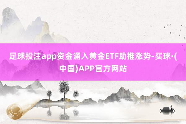 足球投注app　　资金涌入黄金ETF助推涨势-买球·(中国)APP官方网站
