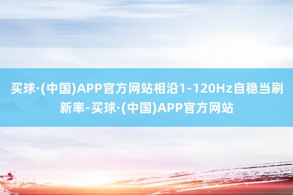 买球·(中国)APP官方网站相沿1-120Hz自稳当刷新率-买球·(中国)APP官方网站