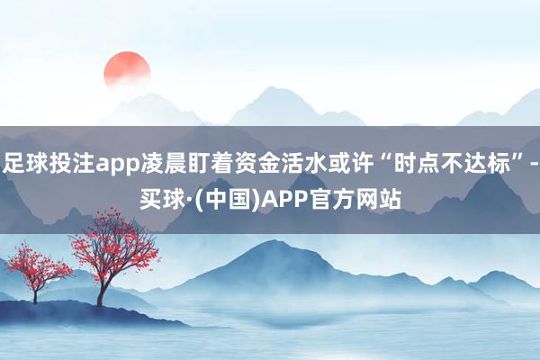 足球投注app凌晨盯着资金活水或许“时点不达标”-买球·(中国)APP官方网站