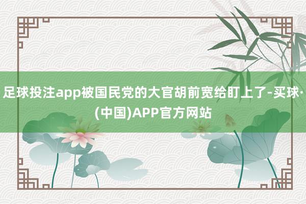 足球投注app被国民党的大官胡前宽给盯上了-买球·(中国)APP官方网站
