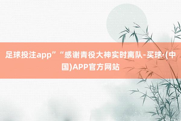 足球投注app”“感谢青役大神实时离队-买球·(中国)APP官方网站