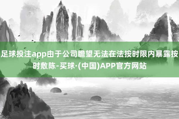 足球投注app由于公司瞻望无法在法按时限内暴露按时敷陈-买球·(中国)APP官方网站